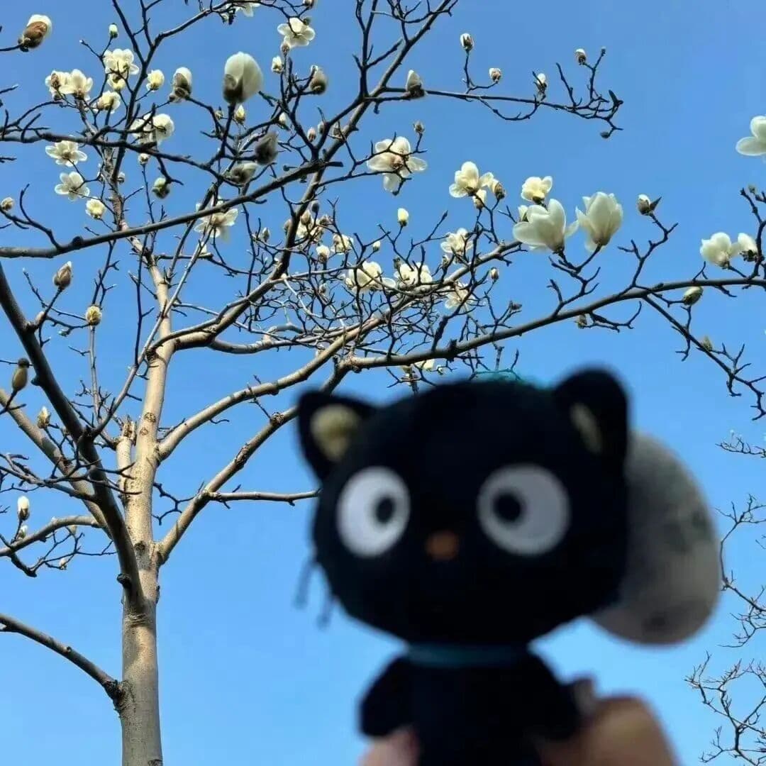 朋友圈封面